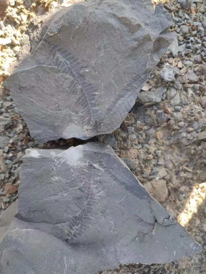 �㽭���ݽ�����������ִ��������ﻯʯ����ʯ����ʯ�����㡢����......