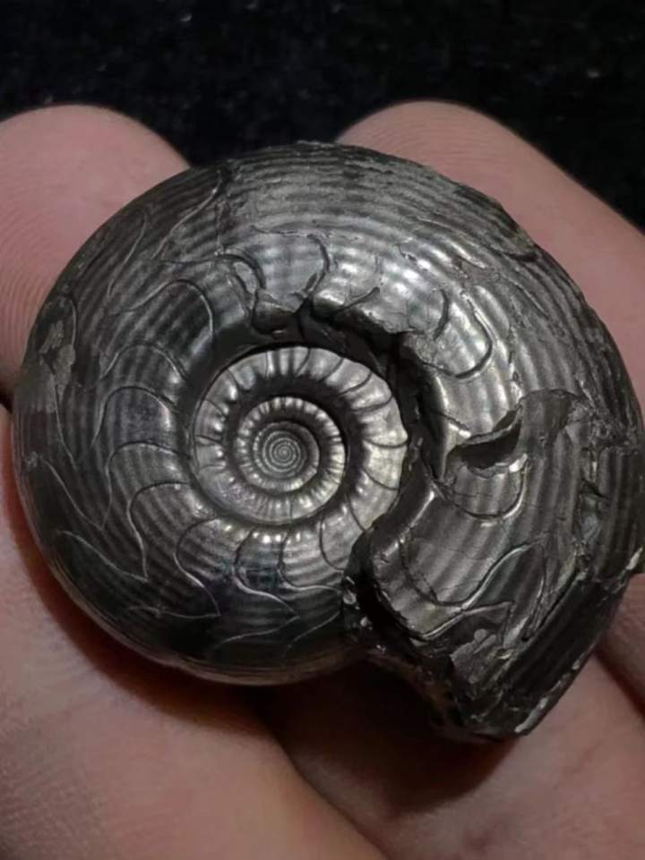 �㽭���ݽ�����������ִ��������ﻯʯ����ʯ����ʯ�����㡢����......