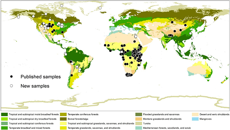 ����̬���ݻ�ǰ�ء�������ż���ද��ͬλ���о�Ϊ�ؽ�����̬�͹Ż����ṩ��˼·