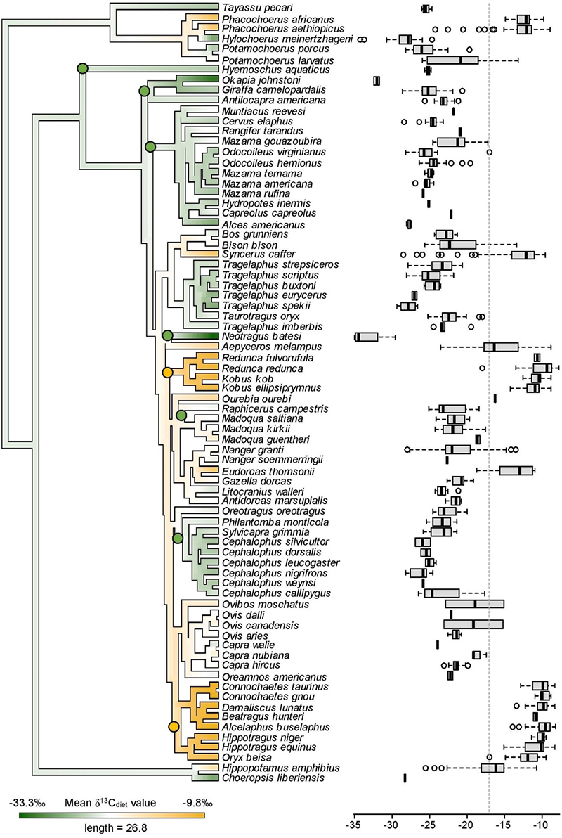����̬���ݻ�ǰ�ء�������ż���ද��ͬλ���о�Ϊ�ؽ�����̬�͹Ż����ṩ��˼·