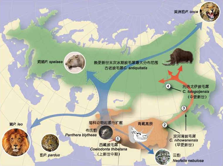 ����ѧͨ���������������Һͱ������򱳾��¶�����ϵ���ݱ�