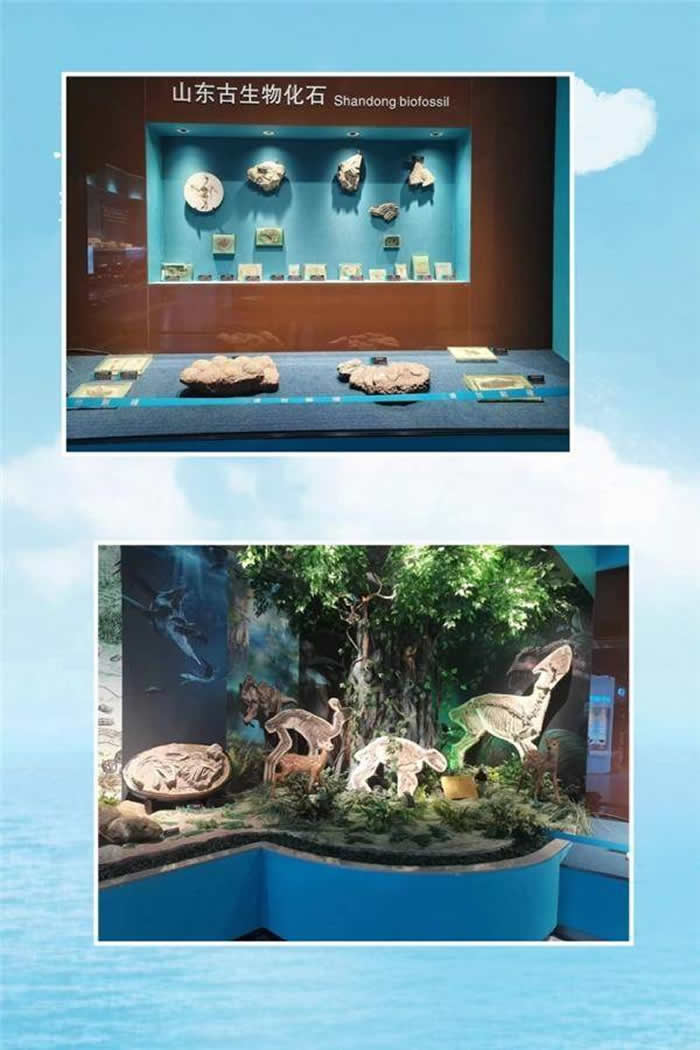 ɽ���ؿ�Ƽ���ͨ��2022��ȹ����ﻯʯ�ղع����ල���