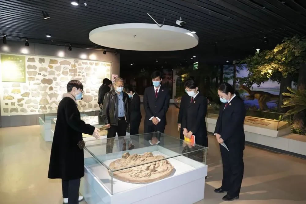 �����ؼ��Ժ�����ǹ��ҵ��ʹ�԰����ݿ�չ��������ʷ�����������⵳�ջ