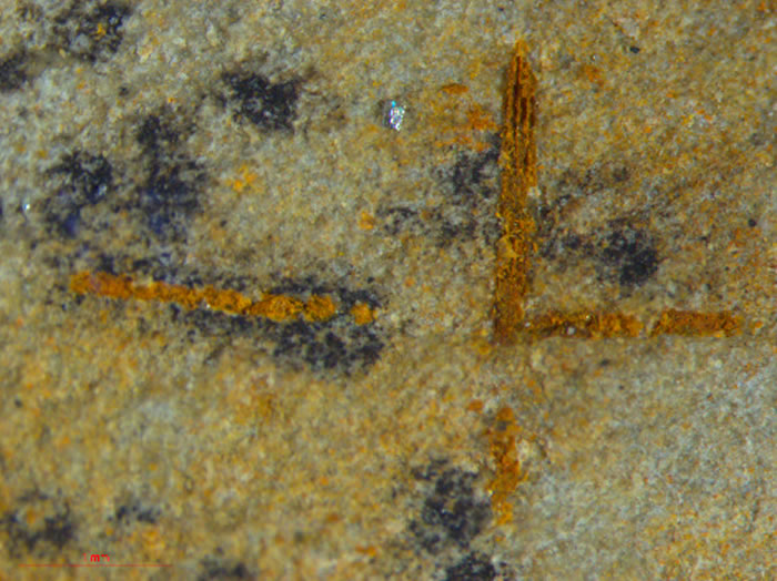 �˹�ҵ���ｨ�輯��Ժʿ�Ŷ�������״η��ִ��������ż�