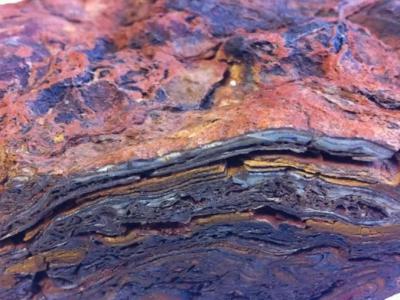 距今34.8亿年：西澳大利亚层状岩体中的叠层石是地球上已知最早的生命之一