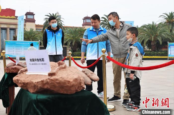 2022年度江西省古生物化石保护利用科普宣传活动在南昌和赣州两地同步举行