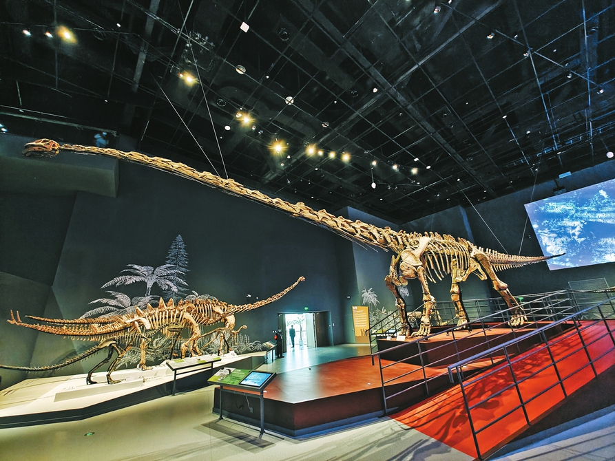 成都自然博物馆(成都理工大学博物馆)正式对公众开放