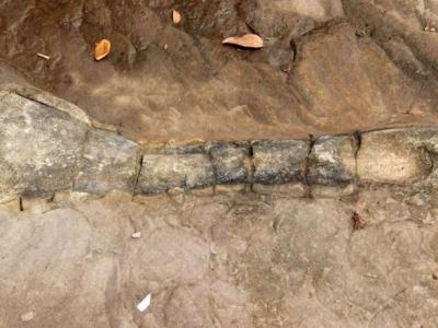 柬埔寨首次发现恐龙化石