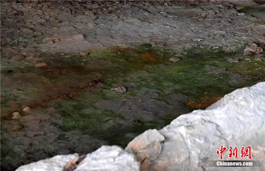 ר�ø�������ԺԺ�������������������������װ�޹��̡������