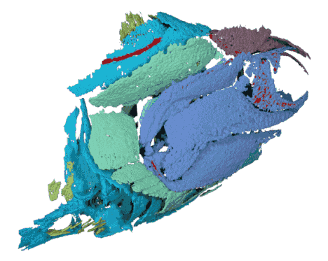 ����Ȼ��̬ѧ���������־�����������3.6����ǰ�Ĵ�����¼���ͨ�������Ҵ�����