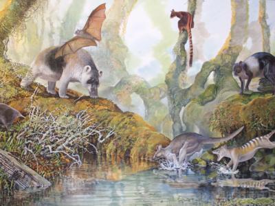 用四条腿穿越巴布亚新几内亚高原的巨型袋鼠在2万年前就已存在