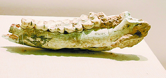 ��������������װ�޹��̡�������������������ַ����Լ120ƽ�����˹���ʯ����