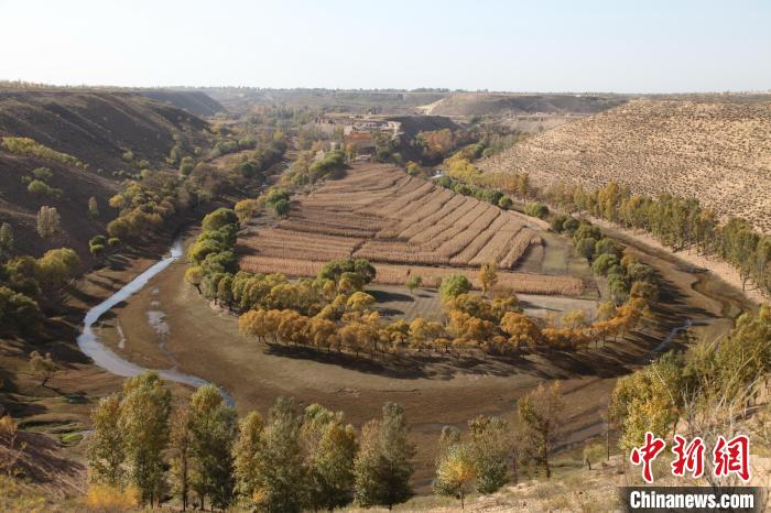 ͼΪ����������ַ��(����ͼ) ������˹��������ͼ