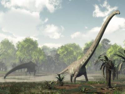 四川自贡“大山铺恐龙”研究取得新进展：新蜥脚类恐龙或起源于亚洲