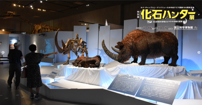 �ż�׵����ظ�ԭ�ƿ��ӱ�־�Կƿ��ɹ�����չ��ʽ�����ձ�����������ѧ�����