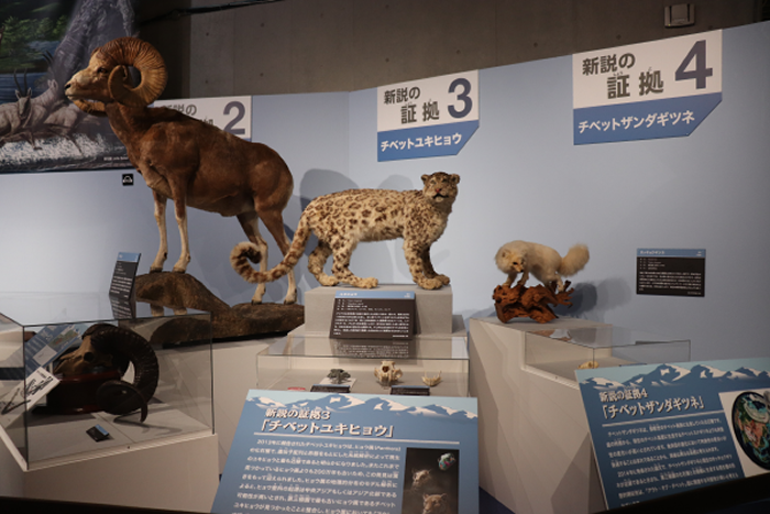 �ż�׵����ظ�ԭ�ƿ��ӱ�־�Կƿ��ɹ�����չ��ʽ�����ձ�����������ѧ�����