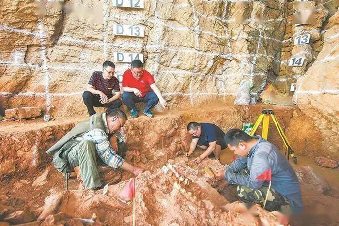 ���շ������ֶ���ַ��ʮ��Ұ�⿼�ŷ������