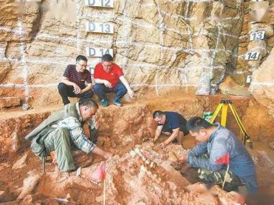 安徽繁昌人字洞遗址第十次野外考古发掘结束