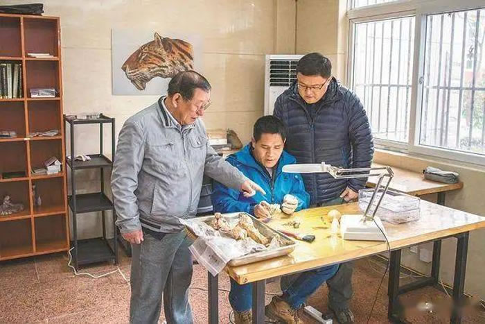 ���շ������ֶ���ַ��ʮ��Ұ�⿼�ŷ������