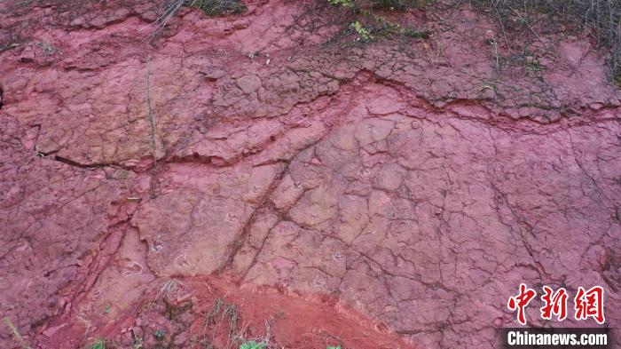 贵州省仁怀市茅台镇再次发现恐龙足迹化石 初步判断属于侏罗纪早期兽脚类恐龙