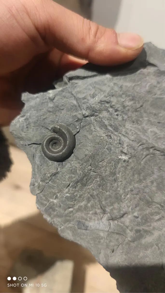 ٪�޼͹����ﻯʯ������������