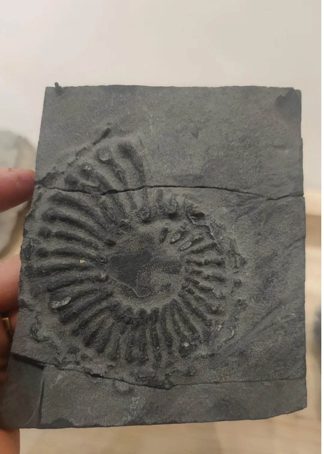 ٪�޼͹����ﻯʯ������������