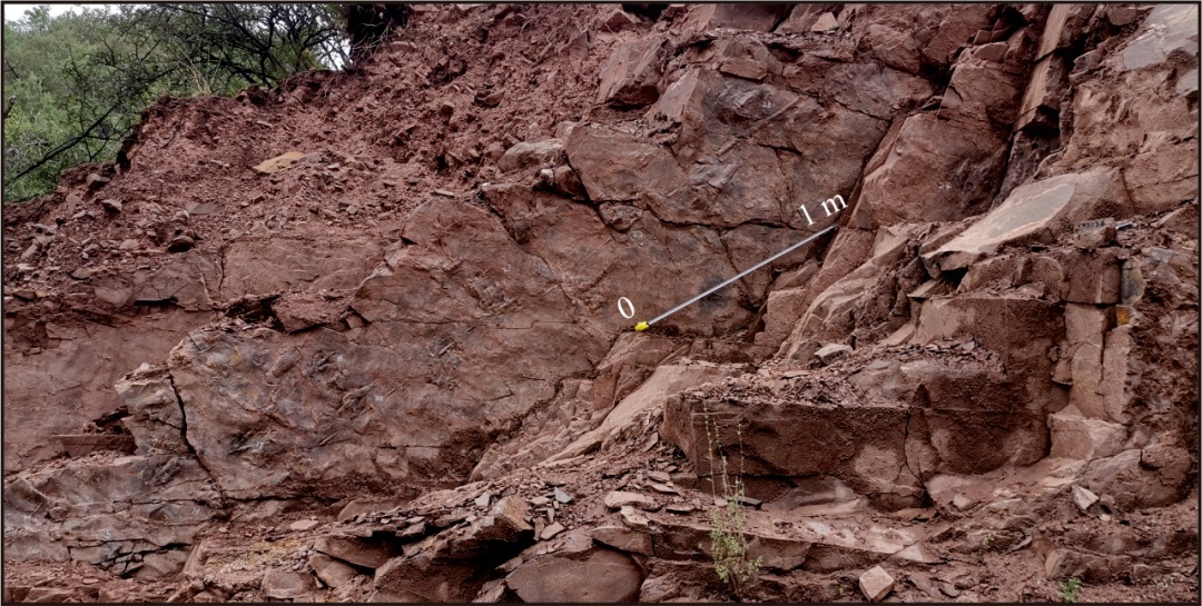 ���ز����п��������ֵ����ص�һö٪�޼��޽�������㼣����ʽ����Ϊ�������ν���