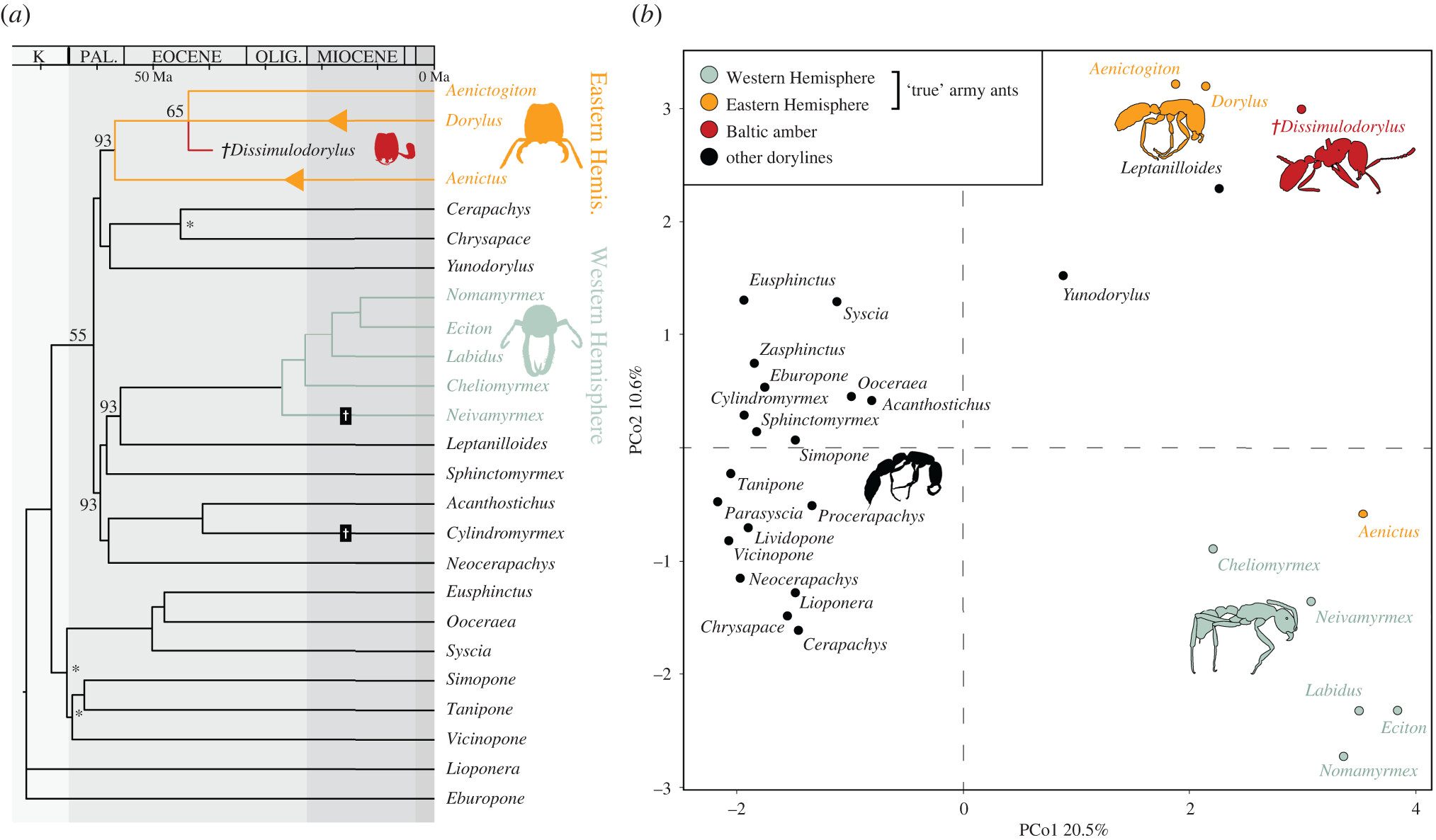 3500����ǰ�Ĳ��޺������з�������������ϵ��о���