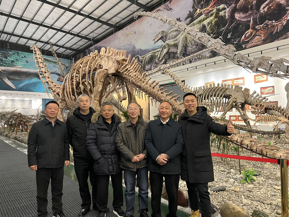 世界最大古生物化石在成都崇州市天演博物馆