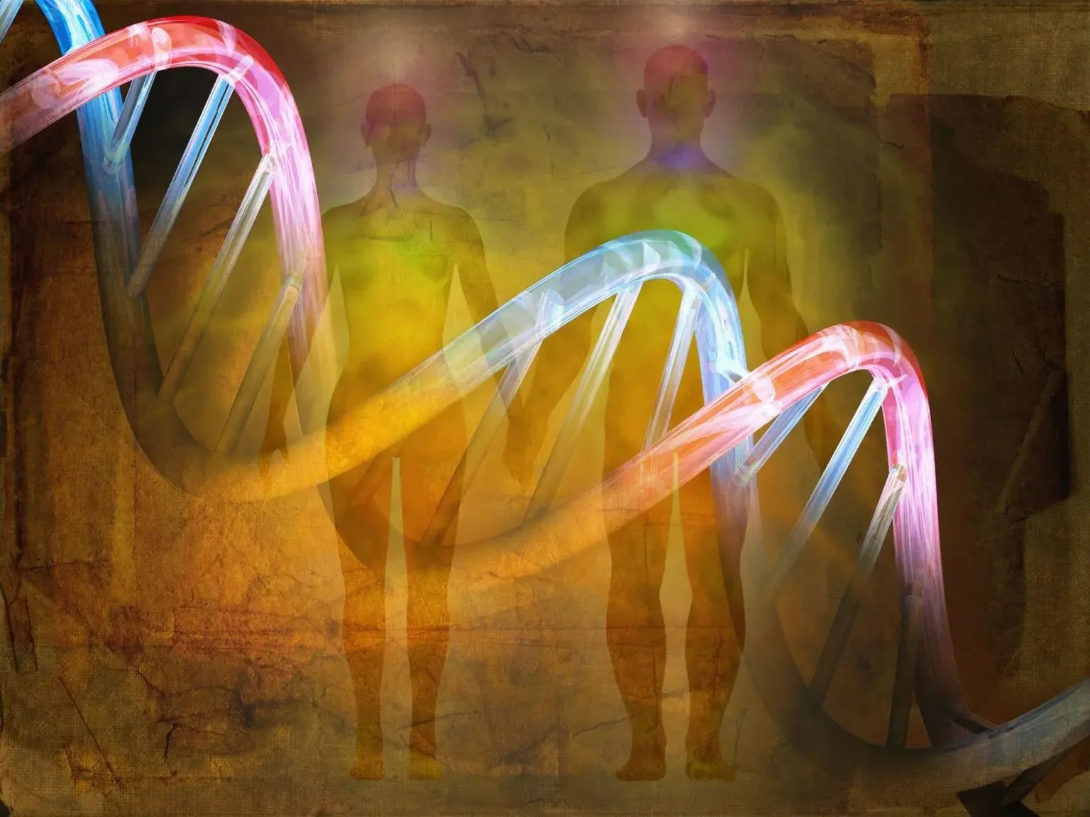 ����Ȼ��̬ѧ���������־��4.5����ǰ�ĹŴ�DNA��ʾ���ص�������ʷ