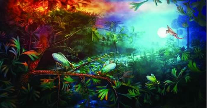 研究揭示中生代螽斯化石 为昆虫和早期哺乳动物的声学共演化假说提供证据