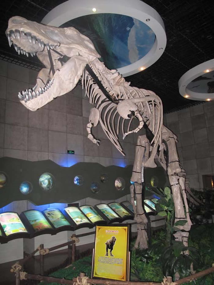 诸城恐龙国家地质公园：世界最大恐龙化石埋藏地
