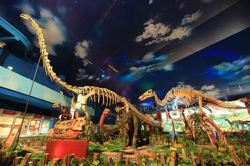 诸城恐龙国家地质公园：世界最大恐龙化石埋藏地