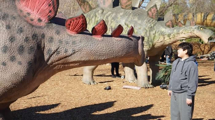 美国加利福尼亚州洛杉矶县举行“山谷中的恐龙”大型展览
