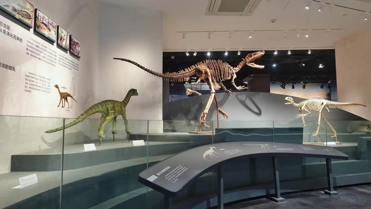 “恐龙之乡”自贡恐龙博物馆上新：科普之外，更添文旅魅力