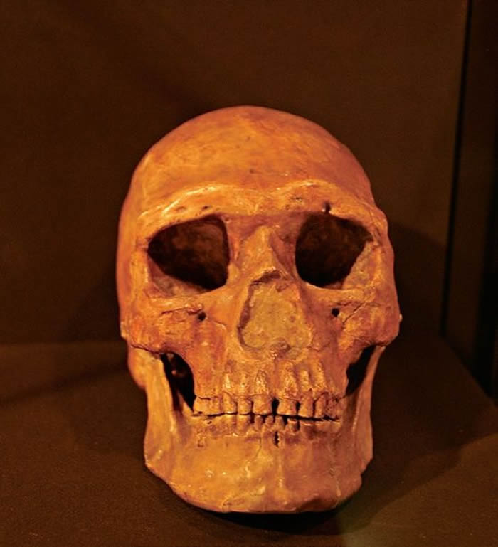 ���ܷ����ڱ����ܿڵ���ַ��ɽ������