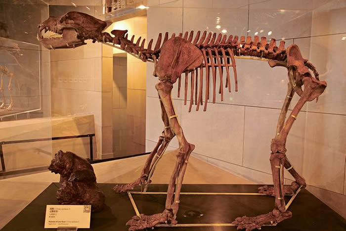 ���ܷ����ڱ����ܿڵ���ַ��ɽ������