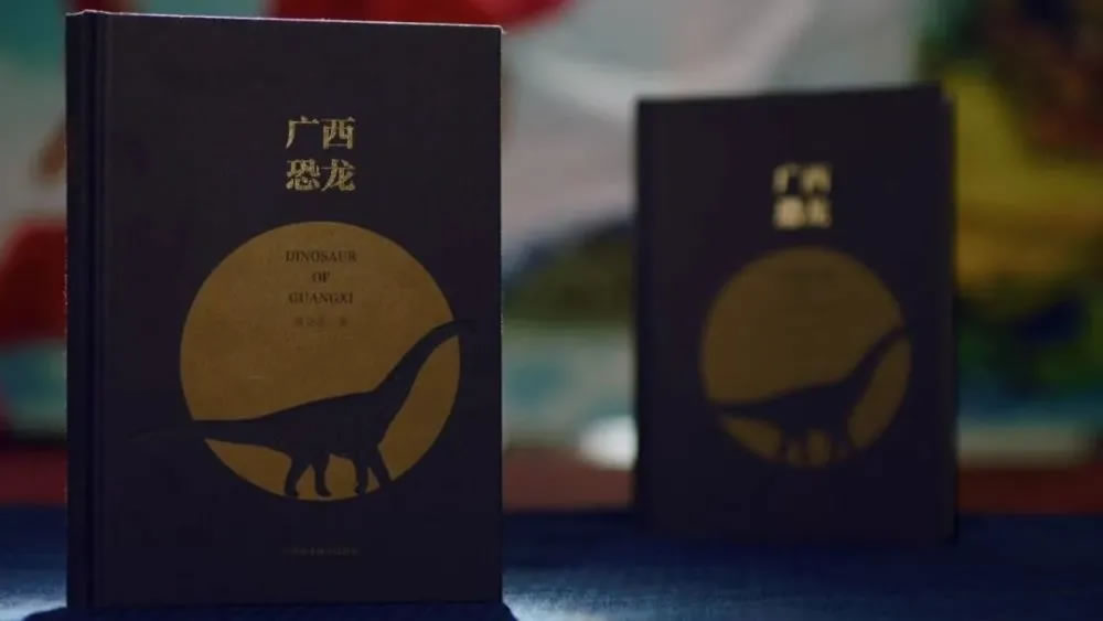 ���������������������й�����֮�磡