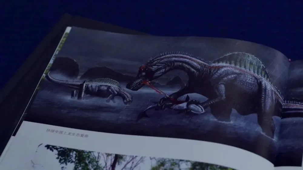 ���������������������й�����֮�磡