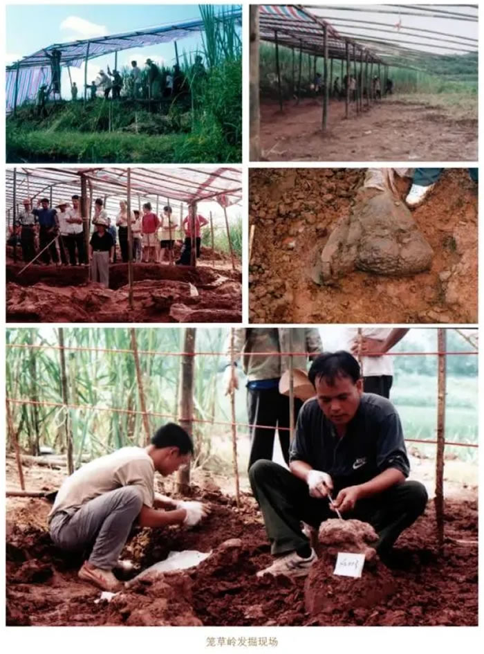 ���������������������й�����֮�磡