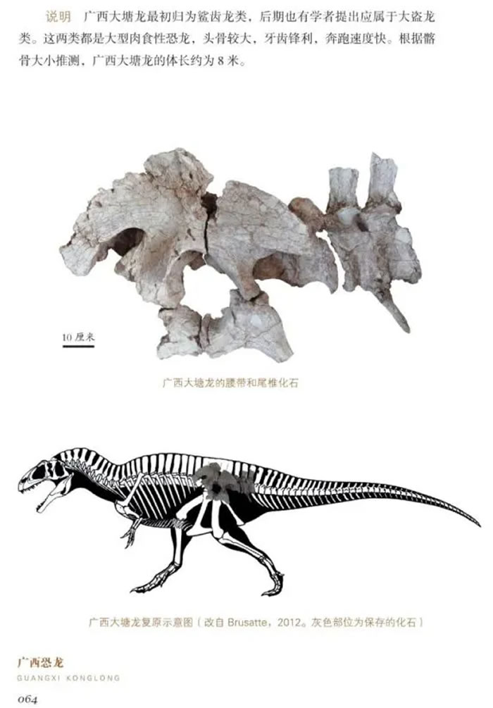 ���������������������й�����֮�磡