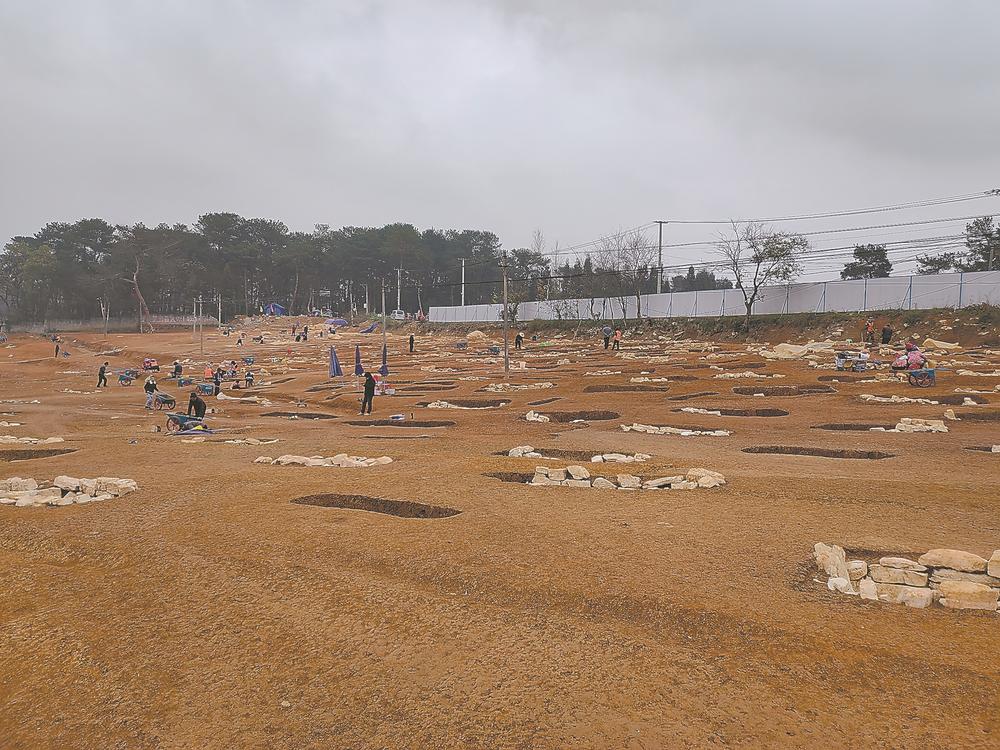 ̽�����Ŵ�ѧ�������о�����Խ����ʱ�ա��Ի�Ů洡�