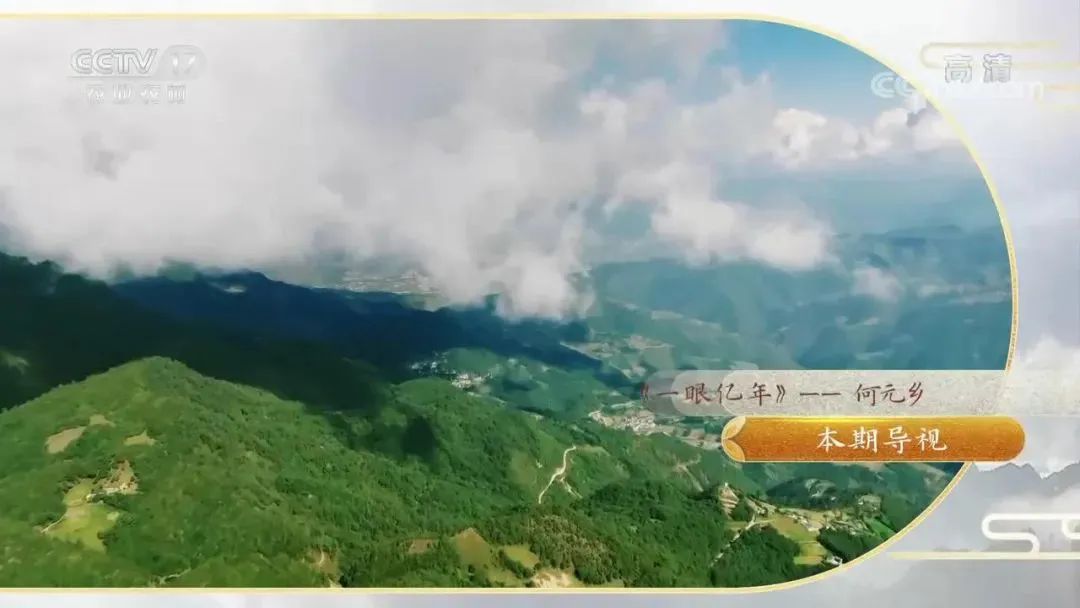 ����ũҵũ��Ƶ����һ�����꡷��Ŀ�߽���Ԫ�����յ����Ļ���