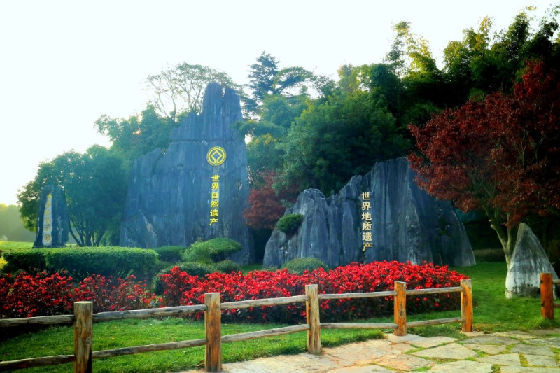 ����ʯ�ֺͳν�����ͻ�ʯ������ѡȫ������100�������Ų�����¼