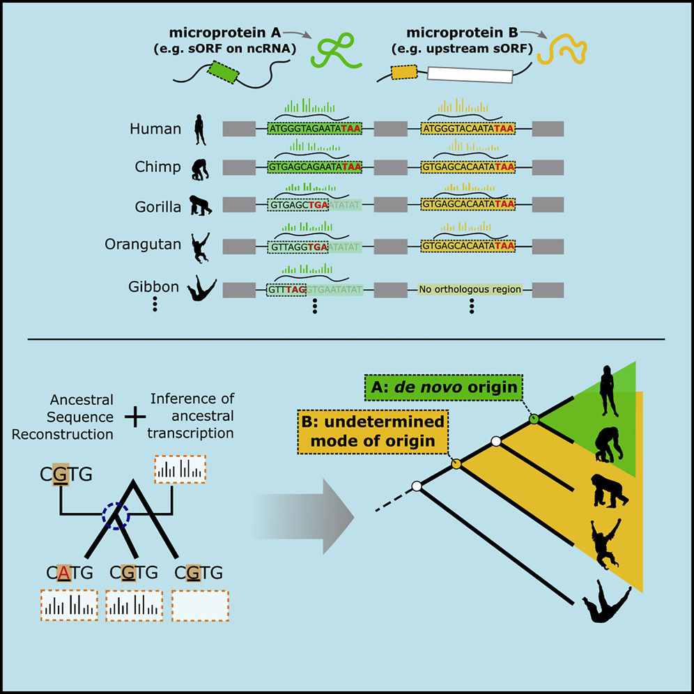 700����ǰ�ִ�����Ӻ��������Ƚ����з������ �������ڼ�������