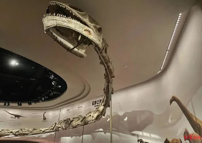 自贡恐龙博物馆“恐龙探秘馆”2023年1月1日上午开馆迎客
