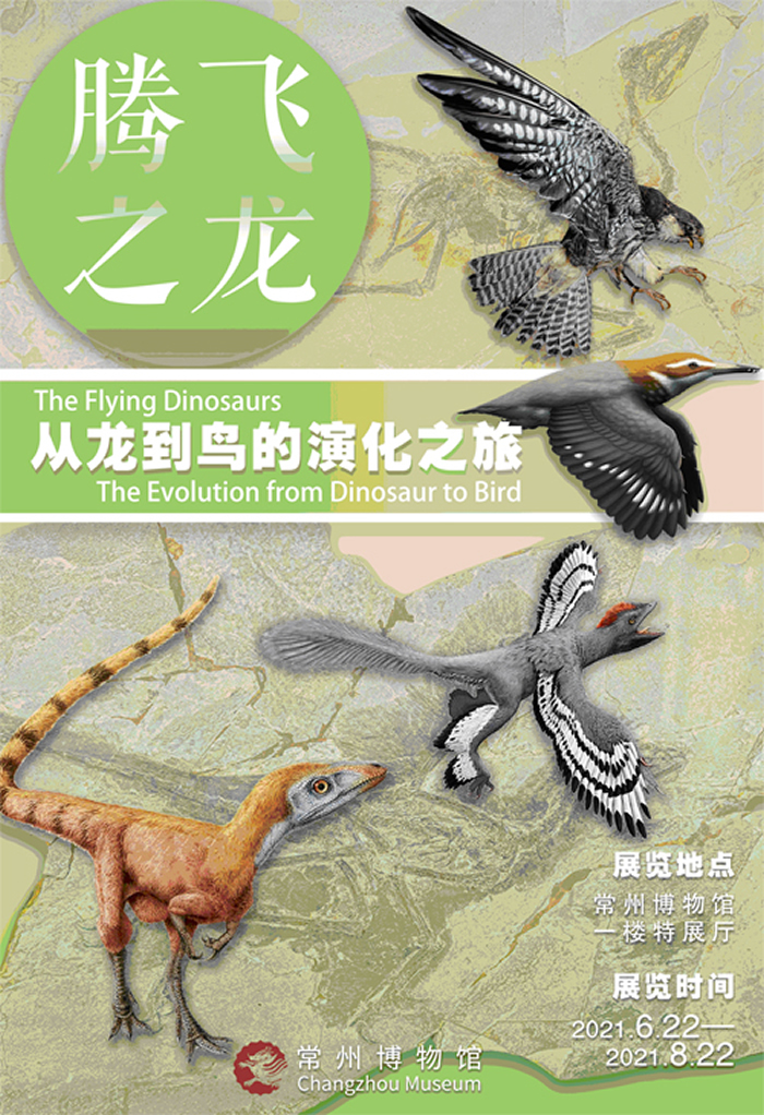 2021���ȫ�����ʹ��������ʮ���չ