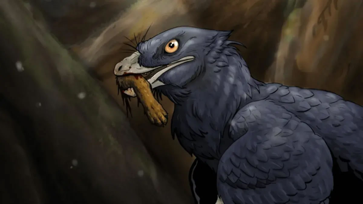 ������ѧ����1.2����ǰС������ʯ�з��ֿ����Բ��鶯��Ϊʳ�ĵ�һ��֤��