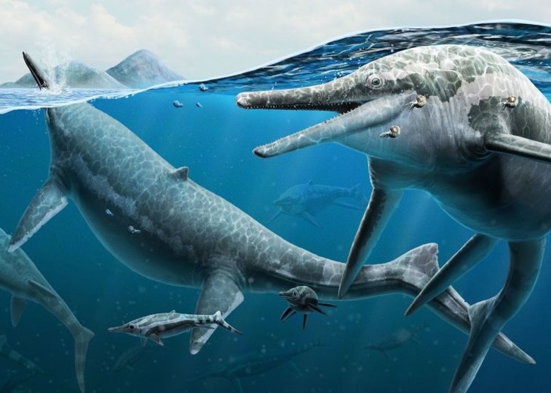 �����ڻ����ݹ��ҹ�԰�������37��������ʯ ��Ϊ����������