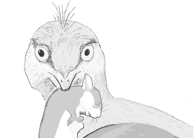 1.2����ǰ����С������ʯ�Ǽܺ��вز����ද���֫